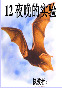 苏教版小学语文六年级下册《夜晚的实验》PPT课件