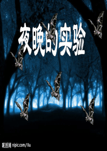 苏教版小学语文六年级下册《海洋――21世纪的希望》PPT课件_2