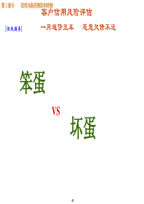 客户信用风险评估(1)