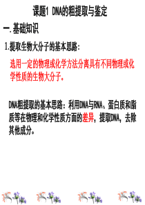 高中生物选修1专题5DNA和蛋白质技术