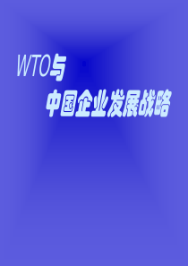 【培训课件】WTO与中国企业发展战略