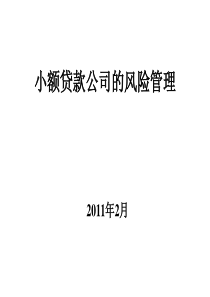 小额贷款公司风险管理讲座3(1)