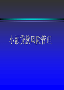 小额贷款风险培训事务