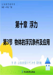 2015春人教版八年级下册物理课件 第十章 浮力 第3节 物体的浮沉条件及应用