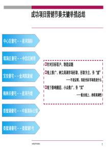 豪宅营销案例