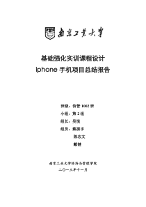 iphone手机项目总结报告