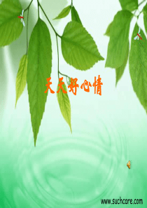 天天好心情_心理健康课课件