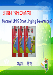 Module4Unit2Does_Lingling_like_oranges说课