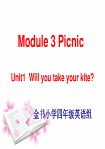 Module4_unit1_Will_you_take_your_kite