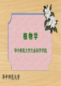 1-植物学课件