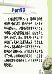 第四课生命共舟_合作就在身边课件