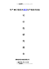 年产40万套实木家具生产线技术改造可行性报告