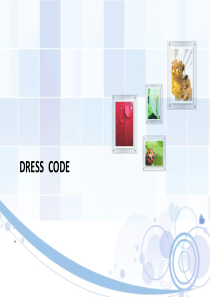 DRESS--CODE(着装规范)