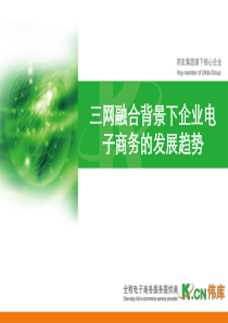 三网融合背景下企业电子商务的发展趋势