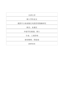 我国中小商业银行风险管理策略研究