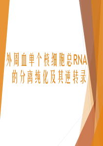 外周血单个核细胞总RNA的分离纯化及其逆转录