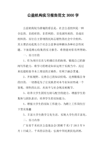 公益机构实习报告范文3000字