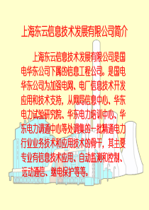 上海东云信息技术发展有限公司是国电华东公司下属的信...