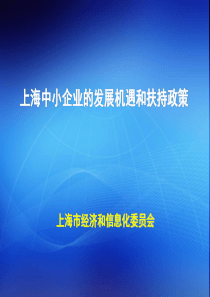 上海中小企业的发展机遇和扶持政策XXXX1124