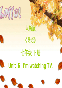 新目标七年级下Unit6-Im-watching-TV-!说课课件