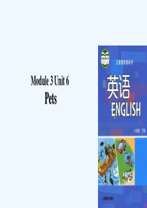 (广州沈阳通用)八年级英语下册-Module-3-Animals-Unit-6-Pets教案-牛津深