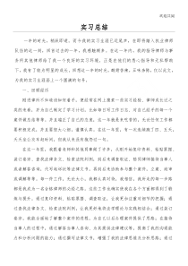 实习律师实习总结归纳