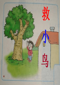 二年级看图写话救小鸟-2