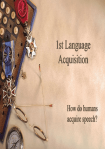 First-Language-Acquisition