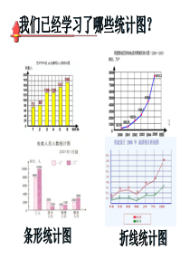 苏教版小学数学六年级扇形统计图——王彦文