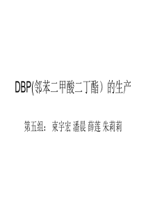 第五组DBP的生产