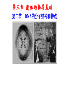 3.2-DNA的分子结构和特点