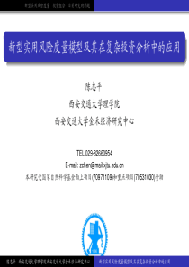 新型实用风险度量模型及其在复杂投资分析中的应用