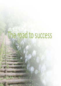 The-road-to-success34ppt