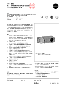 萨姆森-SAMSON-M-3731-3操作说明书