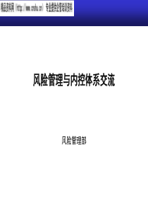 某公司风险管理与内控体系交流报告