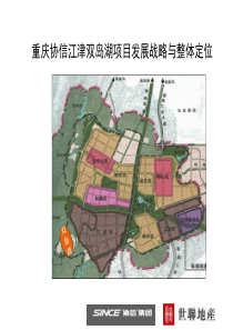 世联-重庆协信江津双岛湖项目发展战略与整体定位-政府汇报-106PPT