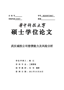 武汉城投公司偿债能力及风险分析