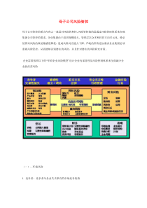 母子公司风险管控