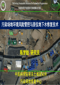 污染场地环境风险管理与原位地下水修复技术陈梦舫