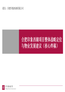 世联_合肥印象西湖项目整体战略定位与物业发展建议（核心终稿）_224PPT