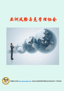 注册企业风险管理师cerm