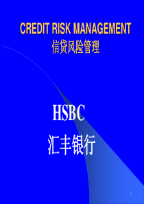 汇丰银行信贷风险管理HSBC-Credit