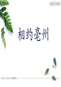 我的家乡-亳州剖析