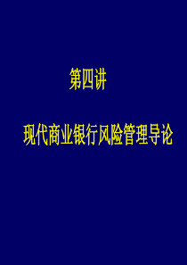 现代商业银行风险管理导论