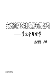 东方谊福科技发展有限公司绩效管理模型