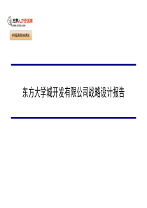 某公司战略设计报告