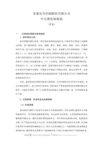 东港安全印刷股份有限公司中长期发展规划