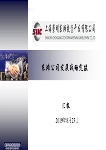 东滩公司发展战略定位综合(ppt 148)