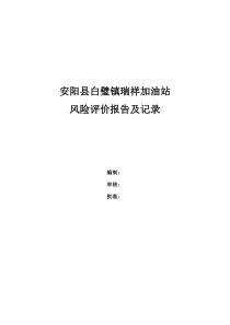 东滩公司商业房地产发展战略研究