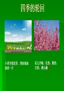 跟随生命的节奏